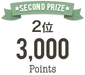 second prize/2位 3000 points