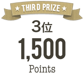 third prize/3位 1500 points
