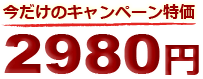 今だけのキャンペーン特価2980円